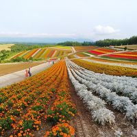 美瑛観光と旭川の夜