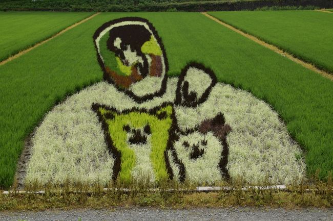 18の夏休み後半はぐるりと東北ドライブ旅 その5秋田は秋田犬と田んぼアート編 大館 秋田県 の旅行記 ブログ By Middx さん フォートラベル 18の夏休み後半はぐるりと東北ドライブ旅 その5秋田は秋田犬と田んぼアート編 大館 秋田県 の旅行記 ブログ By Middx さん フォートラベル
