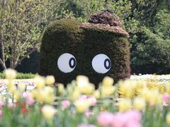 ２０１８　満開のチューリップに癒やされる♪　～国営備北丘陵公園～