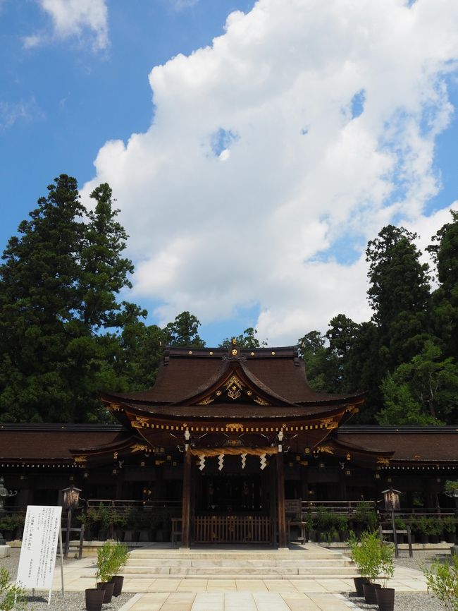 久しく滋賀を訪れていません。<br /><br />テレビ大阪、三田村邦彦さんの旅番組、「おとな旅あるき旅」で三月に放映されたのは、彦根の多賀大社。<br /><br />その時から、滋賀なら多賀大社にお参りに行こうと思っていました。<br /><br />美味しそうなパン屋さん、蕎麦屋さんなどが放送されました。<br /><br />名神高速道路を彦根ICでおりて、三田村さんの足跡を追います。<br /><br />【写真は、多賀大社の拝殿です】