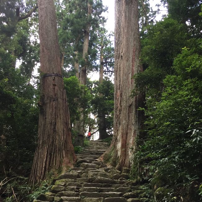 主人の高野山の宿坊に泊まってみたい<br />の一言から主人の夏休みに5泊6日をかけて<br />紀伊半島を一周する贅沢な旅を計画しました<br /><br />＜宿泊先＞<br />1日目 ホテル花水木 (三重・長島)<br />2日目 エクシブ鳥羽別邸 (三重・鳥羽)<br />3日目 ホテル浦島 (和歌山・勝浦)<br />4日目 福智院 (和歌山・高野山)<br />5日目 奈良ホテル (奈良)