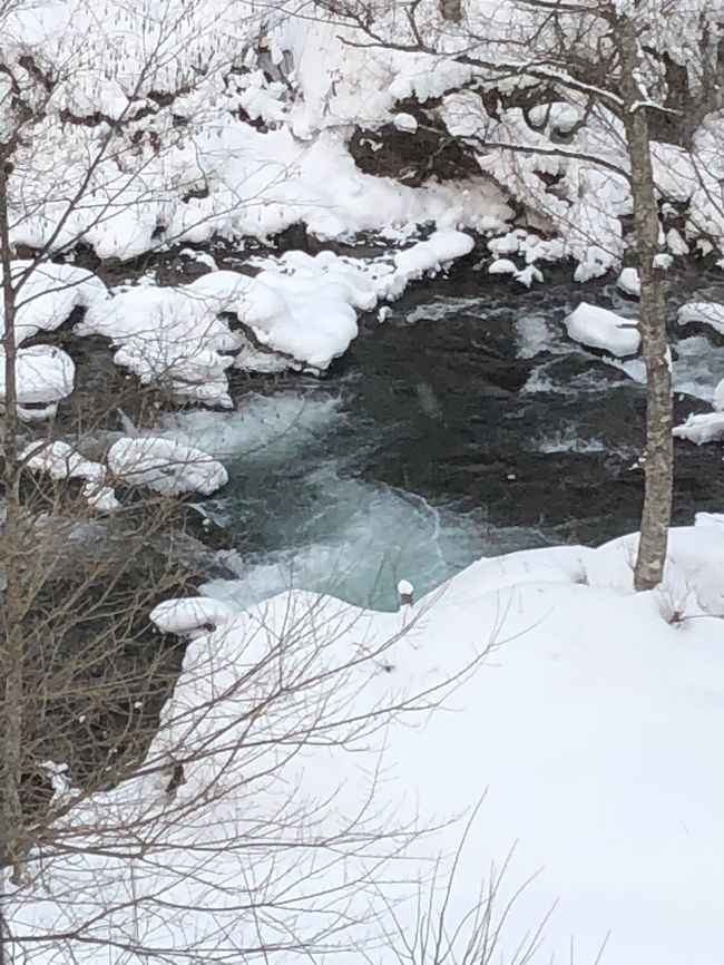 雪の中、真冬の飛騨高山～奥飛騨温泉に宿泊し郡上八幡をめぐる旅行に行きました。飛騨高山のさんまちを歩き、平湯温泉の一番奥にある旅館に宿泊。マイナス10度の極寒のなかで露天風呂に入りました。翌日は郡上八幡を散策しました。高山や郡上八幡は雪景色もいいですね。