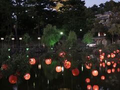 大神神社とちょこっと興福寺、猿沢池