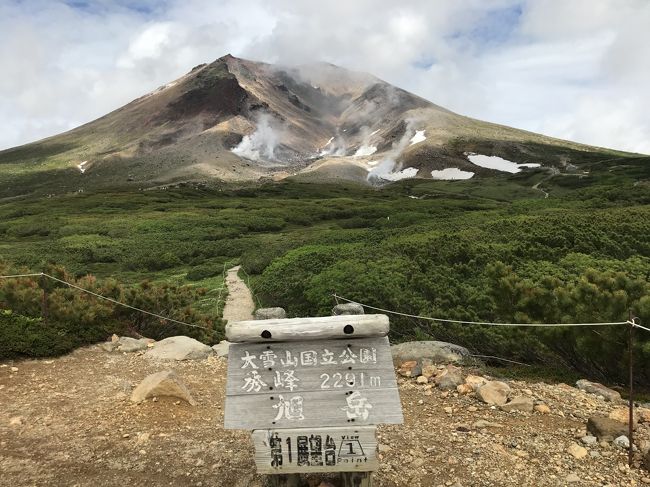 北海道8日目<br /><br />北海道旅行の楽しみの一つ、登山の日だというのに朝から雨(涙)。<br />羅臼湖のこともあるので、とりあえず旭岳ロープウェイに乗ってみました。<br />7月は大雪山の花が咲く季節なので、ロープウェイも満員状態。<br />ロープウェイ頂上駅ではトレッキングに関しての説明がありました。頂上駅は旭岳の4合目。今年はクマの目撃情報が3~4合目で多いので、帰りもロープウェイを利用するように!と言われました。<br /><br />登山の準備も万端で外に出てみましたが…雨は止まず…。<br />と言っても大雨ではないので、とりあえず行けるところまで登ってみることにしました。<br />姿見の池を過ぎたあたりから雨が止んで、レインウェアを脱いで歩くことができました。<br />頂上での絶景はあまり楽しませんでしたが、雨の中歩かなくてよかったので、良しとしましょう!<br /><br />登山行程<br />09:30 ロープウェイ頂上駅出発<br />10:00 姿見の池<br />11:15 六合目<br />11:35 九合目<br />11:50 頂上到着、軽いランチ<br />12:30 頂上を出発<br />12:40 九合目<br />12:50 八合目<br />13:10 七合目<br />13:45 姿見の池<br />14:10 夫婦池<br />14:20 満月沼<br />14:30 第一展望台<br /><br /><br /><br /><br />=====旅の概要=====<br />7/6(金) 22:00八戸港→シルバーエイト→(船内泊)<br />7/7(土) →6:00苫小牧着、苫小牧~日高のサラブレット街道~襟裳岬~釧路へ(釧路泊)<br />7/8(日) 釧路~根室~納沙布岬~野付半島~羅臼~知床峠~ウトロ(ウトロ泊)<br />7/9(月) 午前:知床岬クルーズ船、午後:フレペの滝散策~カムイワッカ湯の滝~熊の湯<br />7/10(火) 午前:羅臼湖トレッキング 午後:知床五湖散策ツアー<br />7/11(水) 午前:ウトロ~オシンコシンの滝~天に続く道~屈斜路湖、午後:釧路川カヌーツアー<br />7/12(木) 早朝:津別峠の雲海を見る 10:30-15:30 雌阿寒岳登山<br />7/13(金) 網走(網走監獄・オホーツク流氷館)~サロマ湖~層雲峡~旭岳温泉へドライブ<br />7/14(土) 9:30-14:30 旭岳登山 美瑛~青い池~富良野<br />7/15(日) 富良野(とみたファーム・四季彩の丘)~夕張(夕張市 石炭博物館・幸福の黄色いハンカチ想い出ひろば)~苫小牧 23:59苫小牧港→シルバーティアラ→(船内泊)<br />7/16(月) →8:00八戸着 新幹線で帰京