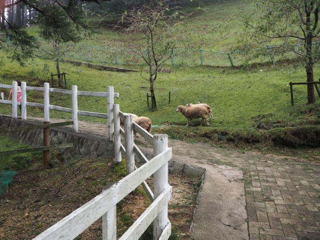 疲れを癒しに有馬温泉へ。<br />普段は子どもは宿泊できない「欽山」ですが、<br />春、夏、冬休み期間で、子どもが利用できる時期があります。<br />その期間を狙って、ファミリープランで宿泊しました。<br /><br />「有馬温泉涼風川座敷」という、縁日イベントも楽しみに行ったのですが、<br />数日前の大雨の影響で中止になっていました。<br />残念。<br /><br />８月２４日（金）<br /><br />仕事終わりで、７時半ごろに宿に到着。<br />その日は、食事とお風呂、主人はプランについていたマッサージを楽しみ、<br />夜は、これまたプランについていたバーのドリンクチケットでカクテルをいただきました。<br /><br />２５日（土）<br />８時３０分から食事、<br />私は１０時から、プランについていたエステ。<br />主人と娘は、買い物、のちお風呂。<br />部屋でくつろぎ、１２時にチェックアウト。<br /><br />その後は六甲山に移動し、楽しみました。