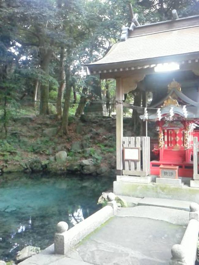 今さらですが、2016年の日立の神社巡りの旅行記を投稿する。<br />泉神社→大甕神社→御岩神社<br />　※本当は神峰神社も巡りたかったのだが、タイムアウト。<br /><br />学生時代、泉神社の近くに住んでおりまして。よく通っておりました。<br />当時は御岩神社よりも、かみね動物園が近い神峰神社の方がメジャーだった気がします。<br />とはいえ、御岩山の隣りに神峰山ですからね、どちらも大きな神社であり、<br />対の存在だと思うのですが～。<br /><br />１）まずは、懐かしの泉神社へ。海の近くにある気持ちいい神社。<br />　　神社巡りのスタートの禊に最適。<br />　　　茨城県日立市水木町2丁目22-1<br /><br />２）大甕神社<br />　　　茨城県日立市大みか町6丁目16-1<br />こちらは、泉神社から歩いて15分ほど、おおみか駅の真裏にあり。<br />とてもお優しい雰囲気の神社です。ココも実はパワースポットで有名。<br /><br />3）御岩神社<br />　　　茨城県日立市入四間町752 ※駐車場あり。<br /><br />有名な光る石柱のところまで行くとなると、登山慣れしていない普通の人であれば、往復４時間は、みて下さい。光る柱の場所も山頂よりちょい下<br />に入る小道にあり、分かりづらいです。山頂ではありません。<br /><br />ここで大失敗をやらかしました。自分は高校時代は登山部でして。<br />(インターハイ優勝校w　まさかそんなハイレベルな部と知らず入部し、１年で退部)<br />最低限の登山のイロハを学んだのですが、なんせ基本は引きこもり。<br />同行者も筋力はあるけど、登山向きの体ではなく、歩くのは苦手タイプ。<br />なので、昼過ぎに到着したものの、少し迷った事もあり思った以上に時間がかかりました。いちお、ケータイ電波はギリ入ります。<br />熊野古道(中辺路)よりも厳しい本格登山道。秩父の三峯クラスですわ。<br />隣りの神峰山へ行く登山道もあります。他の山へ行く登山道が多く、<br />迷いやすい。<br />時間がかかる場合や、山に一泊ビバークする場合は、駐車場はトンネル手前の「向陽台駐車場」を利用のこと。<br />自分は、神社駐車場に戻った時、19時を廻ってしまい、神社の方にご迷惑ご心配をおかけしてしまいました。。。<br />山岳部で夜行が普通だったので(ヘッドライト装備)、申し訳ないです。<br /><br />ちなみに、パワースポットでは、西金砂神社も有名(お祭りが有名)。<br />　常陸太田市上宮河内町1915<br />ただ、ここまで巡るとなると、泊まらないと。<br />茨城は鹿島神宮もあり、パワースポットの宝庫ですね。<br />