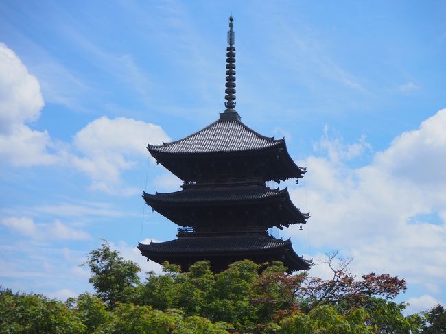 2泊3日京都旅の最終日。<br />15時過ぎの新幹線の時間までプラプラと京都の世界遺産を巡ります。<br /><br />昨日、まあちゃんからは「明日東寺行くんだったら、着く位のタイミングで連絡して」と言われておりまして、そこまでは1人で自由行動(当たり前)になります。<br />とは言え、遠く(宇治とか延暦寺)や混んでる所(清水寺とか金閣・銀閣)行ってもなぁ~という事で、行先を京都駅に近くかつまだ行った事の無い西本願寺&東寺に絞り込んで訪問する事としました。<br />朝散歩の糺の森と合わせてご覧いただければと思います。<br />後、どうでもいい話ですが、帰りはまたまた「こだまグリーン」でした。