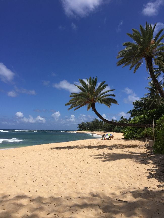 今年からHGVCのホームをGrand Waikikianに変更しての初めてのオアフ島ツアー‼️<br />ハリケーン・レインの大接近ありの前回同様波乱の幕開けとなりました(^_^;)<br />5日目(実質6日日)スタート‼️<br /><br />今日はハイウェイ飛ばして、ノースショア方面行って来ま~す👍<br />