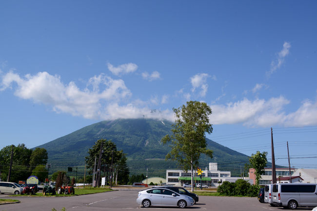 ラベンダーを求めて、１２日間、総走行距離２．４９８ｋｍの北海道マイカードライブ旅。<br />北海道までは、往復、フェリー利用（舞鶴港～小樽港）です。<br />行程は小樽から日本海オロロンラインで稚内へ、そして、オホーツクラインで知床半島へ。<br />その後、屈斜路湖、層雲峡から、美瑛、富良野へ。<br />最後は、羊蹄山、積丹半島にも立ち寄って、帰路に。<br /><br />この旅行記は、羊蹄山を時計回りに一周する旅行記です。<br /><br />ふきだし公園では、京都に持ち帰る水を、ペットボトル・その他の容器に汲む。<br />その後、細川たかし記念像のある真狩を目指す。<br />旅行前、友人から<br />「羊蹄山に行くなら、真狩に立ち寄って、細川たかし記念像を見るべし」<br />と、アドバイスされていました。<br /><br />富良野でラベンダーを楽しんだ後の１０日目の宿はオーセントホテル小樽。<br />＜翌午前中の小樽海岸国定公園クルージングは、次の旅行記で紹介します＞<br />その後の羊蹄山ドライブがこの旅行記です。<br /><br />・羊蹄山<br />　その美しいシルエットから蝦夷富士と呼ばれ、日本百名山のひとつに数えられる。高度に従って植生がはっきりと変化することで知られ、標高１７００ｍから上では可憐な花をつける高山植物を見ることが出来ます。山腹の原生林には野鳥が飛び交い、シマリス、エゾクロテン、エゾユキウサギなど、たくさんの野生動物も生息。登山口はふきだし公園の奥にあり、京極コース登山道として、多くのハイカーに親しまれています【京極町観光協会パンフレットより】<br /><br />・ふきだし公園<br />　一年を通じて変わらない水温、一日８万トンという豊かな水量。雨や雪が羊蹄山で濾過され、ミネラルを含んだ名水として湧き出る場所がふきだし公園です。園内には散策路や展望台、バーベキュウハウス等が配され、また周辺には道の駅や温泉施設、さらにパークゴルフやキャンプなどが楽しめるリクレエーションゾーンが整備されています【京極町観光協会パンフレットより】<br /><br />・京極町の観光情報はこちら<br />  　　http://www.town-kyogoku.jp/kanko-event/