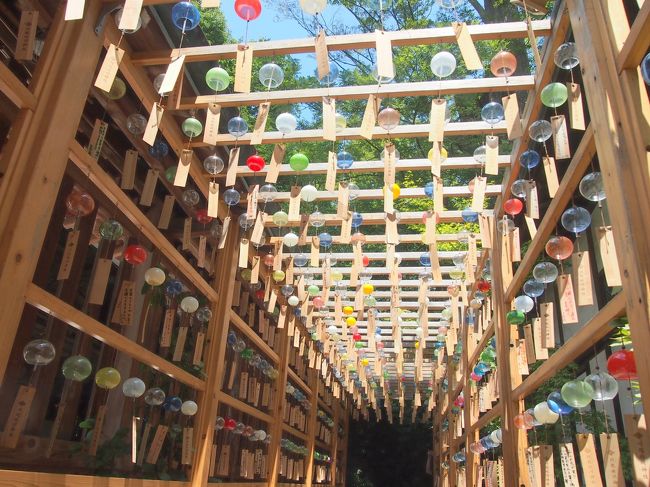 川越氷川神社で縁むすび風鈴が飾られてるというのを知り、見に行きたいな~と思い、旦那が夜勤なので1人で出かけてきました。<br />昼間とライトアップされた風鈴などを楽しんだ他...<br />夏越大祓は6月30日に行われる所が多いのですが、川越氷川神社は、行った7月31日に大祓行事が行われるようで、たまたま行った私も参列させて頂きました。<br /><br />この日も暑かったけど、川越を散策しながら御朱印巡りなどもしてきました。