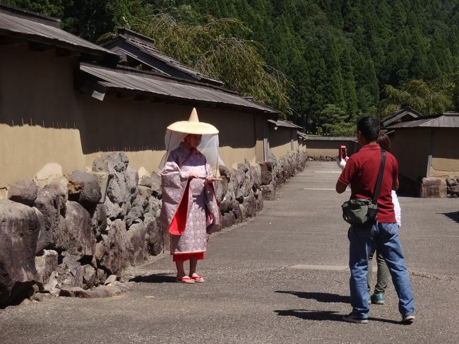 　信長に滅ぼされた浅井氏の小谷から、同じく信長に滅ぼされた朝倉氏の一乗谷に向かう。<br />　今回は廃虚への旅だ。<br />　司馬遼太郎の『国盗り物語』を読んでいた頃は、私は大の信長信奉者であったのだが、今、誰も彼もが信長ファンとなり、イケメン武将だと騒ぎ立てるゲーム女子まで現れると、天邪鬼な気持ちかむくむくと沸き上がり、<br />　「もしかして信長は、人の命や家来を大切にしない、大量虐殺者ではなかったのか？」<br />　などと考えるようになっている。