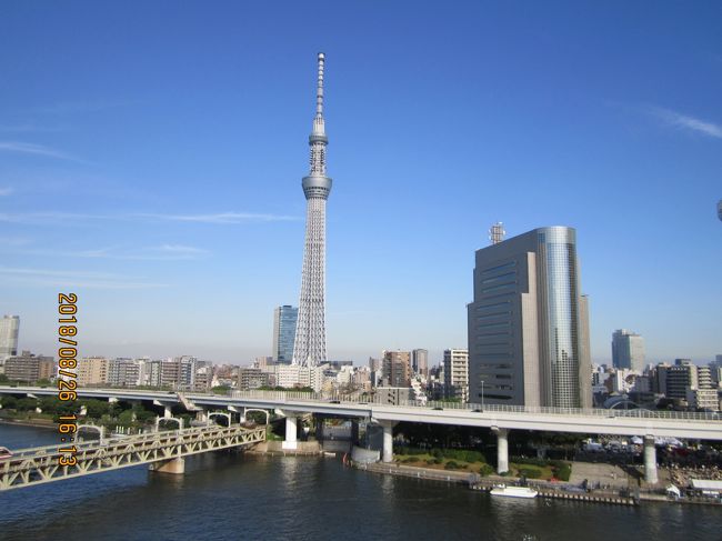 　東京観光をしてきました。嫁とは初めての東京観光です。選んだのは「浅草界隈」「はとバスツアー」「築地場外市場」、等々。<br />いったことがなく、のったことがなく、楽しい旅でした。