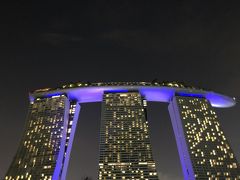 2018年 初シンガポール～今回もやっぱり…？！～(後編)