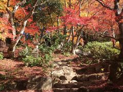 湖東三山へ紅葉ドライブ