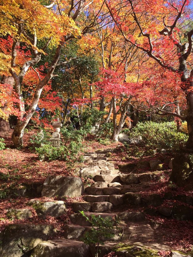 滋賀県の湖東三山へ紅葉を観に行ってきました。<br />3箇所のお寺をまわってきました。<br />それぞれが素敵な場所で、紅葉を大満喫出来ました☆<br />京都に行くより、比較的人の混雑も少なくゆっくり紅葉が見られる穴場の場所ではないかなぁと思っています。<br />おススメの場所です( ´ ▽ ` )