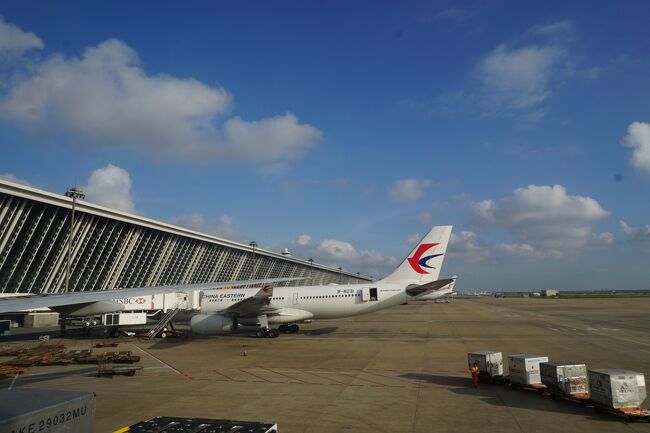 台風による思わぬスケジュール変更での上海滞在。<br /><br />出発まではまだ時間があるので午前中はB級グルメを楽しむことにしました。<br /><br />ただ、上海も猛暑。<br />美味しいものを食べたら快適なホテルで涼みながらのんびり残りの時間を過ごします。<br /><br />色々言われているけど、やっぱり中国は食の宝庫!<br />何を食べても美味しかったです。<br /><br />また行きたいな~!