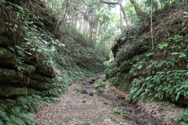 亀ヶ淵奥の切通を過ぎて二階堂川沿いの谷道を進むと獅子舞谷入口の切通がある。この切通を過ぎると鎌倉一の紅葉の名所とされる獅子舞谷である。獅子舞谷の銀杏の木と楓の木が織りなす林は人工林で、昭和の初期に植樹されたものである。他には梅も植樹され、何本かは残っている。また、生い茂る熊笹もこの時に植えられたものだ。<br /> 獅子舞谷入口の切通の右側の崖の上は杉の人工林である。この杉林がある谷は比較的傾斜が緩いので馬でも通れる古道跡が残っている。源頼朝の時代に造られた大手中路の跡であると考えられる。<br /> 鎌倉から北に向かうメインストリートとしての大手中路は奥州平泉に遠征するための軍事道路として整備された。頼朝存命中のこと(平家滅亡後から)と考えて問題はあるまい。このように、頼朝存命中に整備された切通にはやぐらが伴わない。これは御家人が整備した切通(、例えば鎌倉七口など)には必ずやぐらが付随しているのとは対称的でもある。<br />(表紙写真は獅子舞谷入口の切通)