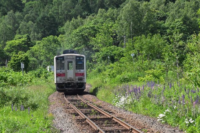 留萌本線の恵比島（えびしま）駅と秘境駅の真布（まっぷ）駅を訪れます。<br /><br />恵比島駅は昭和5年～昭和46年まで、留萌炭田から石炭を運ぶ民間の「留萠鉄道」の接続駅となりました。これが一つ目の歴史です。<br />採掘された良質な石炭は恵比島から国鉄留萌本線を経由して留萌港へ運ばれました。<br />昭和40年代になると沿線の炭鉱が次々と閉山し、留萠鉄道も廃止になりました。<br />現在、露天掘りの吉住炭鉱では奈井江火力発電所用の石炭が採掘され、恵比島の留萠鉄道跡地に貯炭場が作られ、トラックで石炭が運ばれてきます。<br /><br />留萠鉄道で走っていた気動車キハ2004は、「ひたちなか海浜鉄道」に譲渡され、最近まで乗ることができました。<br />留萠鉄道の子会社だった「三和興業」は、昭和33年（1958）にロータリー式除雪用ディーゼル機関車を開発、その除雪技術が札幌のNICHIJO（日本除雪機製作所）に成長しています。<br /><br />二つ目の歴史は、NHK連続テレビ小説「すずらん」の舞台になった「明日萌（あしもい）駅」。当時作られた駅舎や中村旅館が今でも残っています。<br /><br />最後に訪れた真布駅は国鉄時代に仮乗降場だったところ。板張りのホームにある小さな待合室で北海道ローカル線の雰囲気を味わうことができます。<br /><br />なお、旅行記は下記資料を参考にしました。<br />・しまむーさんの「街道の行く先へ、留萌鉄道（恵比島駅～昭和駅）」2017-12-10<br />・M&amp;Aニュース「朝日インテック、フッ素樹脂コーティング開発の日本ケミカルコートを買収」2017-8-17<br />・ひたちなか海浜鉄道「車両情報」<br />・北海道沼田町「明日萌（あしもい）の里」<br />・furutoriさんの「羽幌炭鉱」2012-11-10<br />・歩鉄の達人「廃線探索 留萠鉄道炭鉱線」2015-11-8、「境界杭」2017-10<br />・朝日新聞「石炭火力の奈井江発電所」2018-3-5<br />・牛山隆信氏「秘境駅ランキング2018年度版」<br />