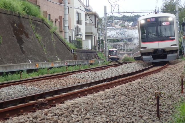 南極観測船しらせを見るついでに折り畳み自転車のキャリーミー(carryme)で東急東横線とみなとみらい線の全駅を各駅停車し、ついでに北朝鮮の工作船と上ラオウ岡駅も見に行ってみた。<br /><br />東急は田園都市線と世田谷線が走破済み。<br />東急東横線とみなとみらい線について少し調べてみた<br /><br />・開業は？<br />→1926年2月と2004年2月らしい<br /><br />・距離は？<br />→24.2kmと6.1kmらしい<br /><br />・駅数は？<br />→２１駅と６駅だった<br /><br /><br />東急東横線とみなとみらい線の全駅を箇条書きしてみた<br /><br />東急東横線21駅<br /><br />渋谷<br />代官山<br />中目黒<br />祐天寺<br />学芸大学<br />都立大学<br />自由が丘<br />田園調布<br />多摩川<br />新丸子<br />武蔵小杉<br />元住吉<br />日吉<br />綱島<br />大倉山<br />菊名<br />妙蓮寺<br />白楽<br />東白楽<br />反町<br />横浜<br /><br /><br />みなとみらい線6駅<br /><br />横浜<br />新高島<br />みなとみらい<br />馬車道<br />日本大通り<br />元町・中華街<br /><br /><br /><br />この夏はとても暑いので７月に伊豆箱根鉄道大雄山線を全駅走った後、箱根に行ったのを最後にずっと自転車を運休していた。<br />最近はマウンテンバイクは片道２キロ程度の移動で使用、キャリーミーは２０キロ越えのサイクリングに使用といった感じになり、長距離用の自転車が短距離用、非常用の自転車が長距離用になり用途が逆転してしまった。<br />