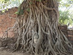 初めてのバンコク１日目：羽田からJALでバンコク、初日はアユタヤへ