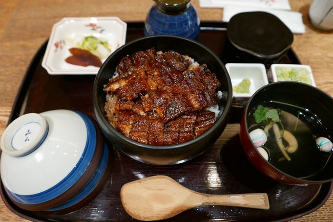 名古屋は京都や大阪に行くときに新幹線で通過するだけ。<br />私たちも含めて、そんな方が多いと思います。<br />名古屋城の本丸御殿が６月に全面公開を始めたと聞き、<br />それならば一度じっくり観光に行ってみようということになりました。<br />9月に入り若干涼しくはなりましたが、それでもまだ暑くて、結局タクシー移動の旅となりました。<br />名古屋は人の気質も、食文化もファッションも、東京や京阪神とはちょっと違っていて、不思議なところでした。<br />一度は名古屋に行ってみたいけどと密かに思っていらっしゃる方々の参考になれば幸いです。<br /><br /><br />