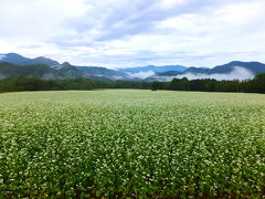 ♭(フラっと)福島