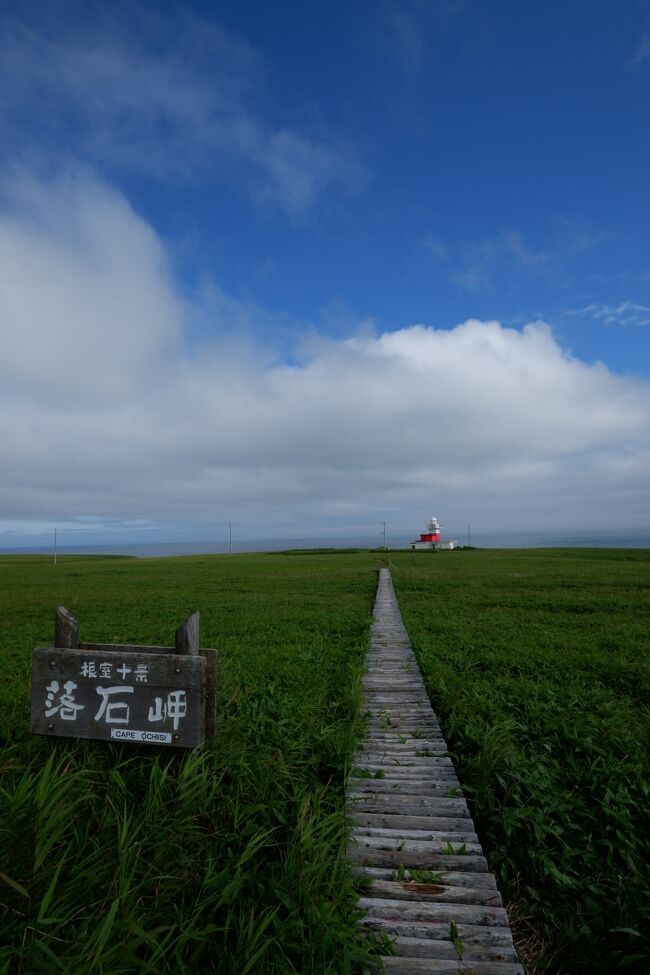 2018年8月<br />毎年夏恒例の旅行です。<br /><br />何かのニュースで根室本線の廃線が検討されている、というのを聞いて、今行っておかないと後悔するのでは。。。と思い、行き先を根室方面に決めました。<br /><br />美味しいものもたくさん食べて、道東にしかない雄大な大自然を見て、道東の歴史と文化と遺産を体験した5日間。<br />日本の東の果ての町、根室への旅の記録です。