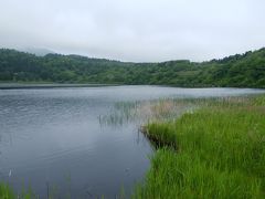 夏の北海道5日目　利尻島