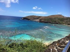 2018 アイランダーに泊まる① 高校生の息子二人と三度目のハワイ 家族旅行&#127808;