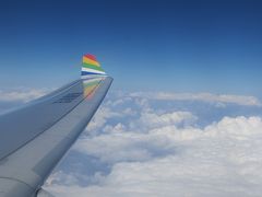 チベット旅行９日目：林芝空港から帰宅。余談でトイレの話・・