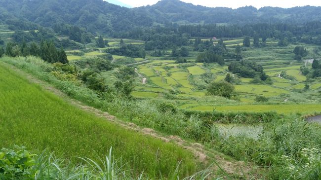 （今回は日本語のみです）<br /><br />8月終わりの週末の前後に休みをつけて新潟の『大地の芸術祭2018』を4日間にわたって見学してきました。もちろん330を超える展示作品を4日程度ですべて回れるわけはないのですが、あらかじめ狙いをつけていたところはあらかた訪問することができました。3年に一度の芸術祭ですが、今回は9月17日（月）まで。残りわずかです。