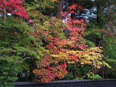 ２０１７年１０月　錦秋の東北　２日目　その２　角館　武家屋敷を見ながら紅葉散歩