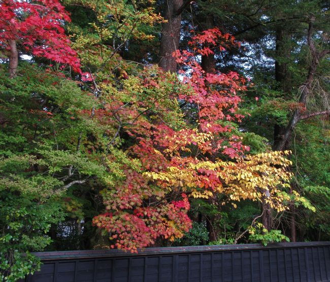 ２０１７年１０月　錦秋の東北　２日目　その２　角館　武家屋敷を見ながら紅葉散歩