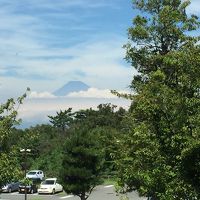 2018年の夏休みは念願のタカアシガニを食べに！