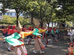 原宿表参道元気祭2018～表参道や原宿周辺でのよさこい祭り～