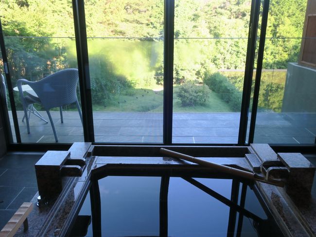 残暑の厳しい8月の最後の日曜に1泊2日で箱根をサクッと周りました。<br />箱根フリーパスでバス、ケーブルカー、ロープウエイ、海賊船など<br />乗り物を駆使して箱根路を周りました。<br /><br />箱根フリーパス:箱根エリアの8つの乗り物が何回でも乗り降り自由<br /> 2日間有効のパスは、新宿から@5,140円<br /> (ロマンスカーの特急料金は別途)<br /> <br /><br />8月26日 (日) 新宿ー箱根湯本<br /> ポーラ美術館、大涌谷<br /> <br />8月27日 (月) 芦ノ湖、箱根神社<br /> 箱根湯本ー新宿<br />
