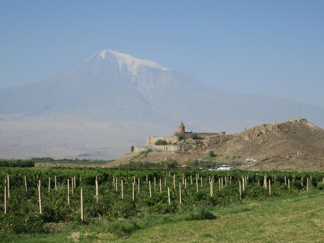 エレヴァンを出て一路南下、トルコとの国境近くまで行く。ここも広大な平地で、農業国であることが分かる。一部ビニールハウスもあるが、季節利用にとどまっているとのこと。途中から、大アララト山(5165m)と小アララト山(3925m)が、見え始めた。大アララト山には、残雪が頂上付近に少し残っていた。ホルビラップ修道院から見る山は大変雄大である。修道院下には、すぐにトルコとの国境線がみえ、これを境にして民族戦争が起きる様を想像した。<br />エミチアジン大聖堂に向かう途中の緑多いところは、コウノトリが生息しているところだそうだ。電柱の上の巣を一つ見つけたが、写真には取れなかった。この大聖堂は、アルメニア使徒教会の総本山だそうで、参拝に来る人が多い。117年に設立された歴史あるもので、その当時はアルメニアの首都であった。大変簡素な石造りの聖堂である。大聖堂の中は、修理中ですべてを見ることはできなかった。博物館には数多くの書物、装飾品などが飾られていた。歴史を感ずるものばかりである。当時の出版物も飾られていた。人類の歴史素晴らしい。入り口付近には、Museum Shopがあり、教会に関連するもの、産物に関するものなど豊富にものがあった。ここでも小さなザクロのキーホルダーがあり、お土産とした。近くのレストランで昼食をとる。暑いのでローカルビールのKilikiaを飲む。おいしかったのは、ひよこ豆、キノコ、鳥を炒めたものに、ラバッシュを揚げたものを混ぜ合わせて食べるローカルフードである。大変ラバッシュがカリカリしてさっぱり目で大好評であった。デザートには、スポンジケーキに粉砂糖がかかったもので、誰かにコインが入っているので、その人があたりということである。みんな目の色を変えて中を割って確認していた。私ケーキの底にコインがあり、アルメニア語がかかれたボールペンが当たる。ラッキー<br />食後移動して、ズヴァルトノツ教会が建てられたところで、高さ45mの円形3階建ての壮大な教会だそうだ。10世紀の大地震により崩壊したが、世界遺産に登録されているが、完全修復には至っていない。同じ材質、同じ組み合わせで復元することが義務付けられている。<br />続いてエレブニ要塞を見学。小高い丘の上に一部が復元されている。大変見晴らしの良い場所である。ここがエレヴァンの発祥の地といわれている。このような遺跡がまだ眠っているような気がする地形である。アルメニア歴史博物館へ行き、いろいろな歴史的いわれのある展示物を見学。研究すればするほど、奥の深いものである。<br />次は、アルメニアといえば、コニャックで有名である。二つの会社があるが、我々は、ARARATコニャック工場を見学。入り口を入って、ガイドさんの説明を聞きながら、そしてほのかに甘い匂いのするコニャックを鼻で吸い込みながら、説明を聞く。歴史的な貯蔵と、ブレンドしながら、年代を決めていくすべは、味に基づくものであった。見学の最後は、テ―スティングで、二つの年代(3年物と10年物)の異なるコニャックが試飲できた。やはり10年物はまろやかで、奥が深い。ワインも買ってしまったので、コニャックは、小瓶の6,7,10年物のセットを購入。チョコチップと一緒に飲むと、おいしさ倍増なので、それも購入。アルメニアのコニャックもコニャックと名乗ることができるようになったので、世界に販路が拡大しているそうだ。日本にも輸出されている。<br />夜は、Kilikia地方料理を満喫。といってもコースメニューは今までとそれほど変わらない。ナスを輪切りにして、油で炒めたものを二枚重ねて、ヨーグルトをはさんだシンプルな味の料理。夜のとばりとともにホテルに帰着。