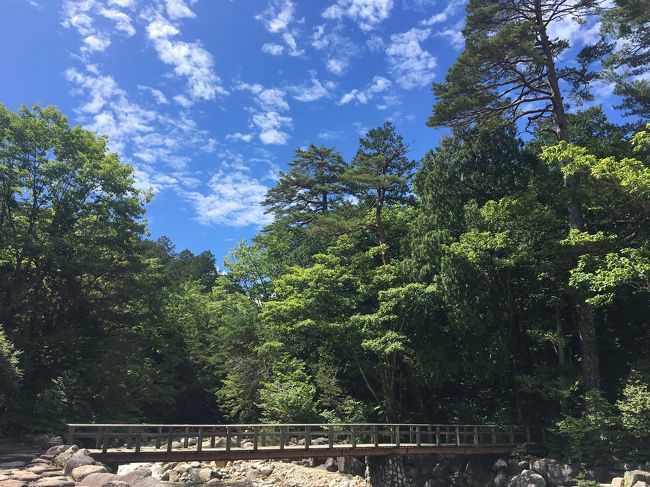 環境省が「日本一星空が綺麗な村」と認定した阿智村。ちょっと気にはなっていたけど、自力で行くには少々面倒。ということで、「日本一の星空観賞と爽やか信州3大絶景遊覧」というタイトルに魅かれ、手っ取り早くバスツアーに参加しました。<br /><br />お天気に全てがかかっているこの旅行。結果はいかに?