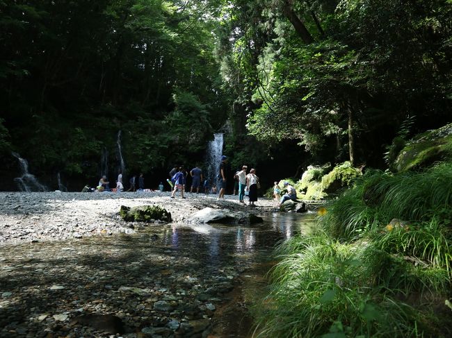 素晴らしいところだった。美しくて涼しくて、満点！<br />白糸の滝は小さいころから知っていたけど、すぐそばにこんな所があったとは！！<br /><br />小ぶりな滝で滝つぼのすぐそばまでいけます。<br />裏もまわれます（ｗ<br />中洲には水の中に入って渡らなければなりませんが<br />むしろ入りたい。気持ちいい！でも、とにかく水が冷たい！<br />いたるところから湧き水が出ていて、滝と水の流れの音が響いています。<br /><br />水遊びの子供たち、中洲でお弁当と食べている家族、<br />椅子持参で本を読んでいる人や、私たちのような観光客、水汲みの人。<br />けっこうな賑わいでした。<br />でも、ごみごみ感はなかったです。<br />なにより涼しい！<br /><br />地元ナンバーや、水着で遊んでる子供たちを見ると<br />地元の人が夏場に涼を求めて遊びに来る場所だったのだろうな、<br />と思わせる場所<br />過去形なのは、新しく見える駐車場と観光バスの姿を見たから。<br /><br />田貫湖に宿泊するので、そこ起点でのドライブコースを探すのに<br />今年はあまりの酷暑、少しでも涼しいところをと探してここを見つけた。<br /><br />https://youtu.be/AHMEAUHxROM