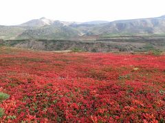 あれー、もう1年経ってしまった。北海道大雪山旭岳へ日本一早い紅葉を求めて！！