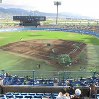 日本 愛媛県松山市 ヤクルトスワローズ対阪神タイガース 松山坊っちゃんスタジアム