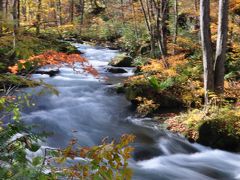 紅葉の奥入瀬渓流、十和田湖、弘前城めぐり