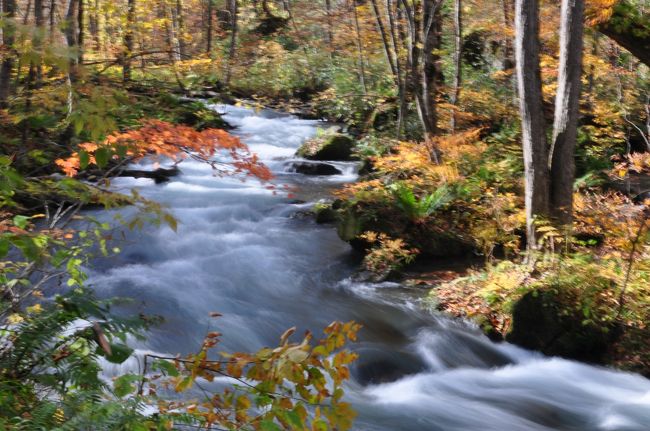 学生時代に友と東北を旅して、田沢湖、十和田湖、奥入瀬を回った。今回は妻と紅葉時の奥入瀬渓流を歩き、十和田湖と弘前城を見ることにした。