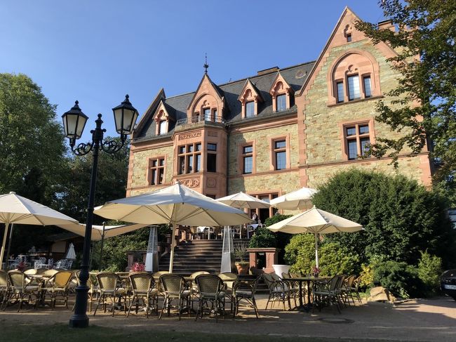 学会がフランクフルト郊外の古城ホテルRomantik Hotel Schloss Rettershofで2日の予定で開催された。JAL 407便でフランクフルトへ、空港から車で30分程で古城ホテル「リッタースホフ」へ到着。リッターとは騎士のことで訳すと「騎士の館」となる。家族経営のこじんまりとしたホテルでドイツらしく清潔で整頓され、無駄なものはなく、スタッフはドイツ人らしからぬ笑顔で迎えてくれた。暖炉、騎士の鎧の置物、吹き抜け天井にシャンゼリアとさすが、古城ホテル。さらに、学会が開催できる会議室もあり、また、レストランRettershofはこの地では有名なようである。ホテルの部屋は広く、ゆたり、どっしりしたソファーが鎮座、勿論清潔さはいううまでのない、浴室はバスタブなくシャワーのみ、アメニティは石鹸とシャンプーのみ余計なものは一切なし。ホテル周辺はドイツの郊外らしく、一面の平原であった。近くに馬場があり、朝はひずめの音と鶏の鳴き声で目覚める非日常な２日間であった。初日は会長主催のBQパーティがホテルの広い庭で行われた。ビールと自慢のラインガウワインと思いきやイタリア製がふんだんに用意されていた。最後の日はJAL408便19:20発のため、朝9:00にタクシーでホテルを出て、（残念ながら交通機関はタクシーのみといって過言ではない）フランクフルト中央駅でおりる。即、コインロッカー探し、18番線ホームに向かって背中側　通路を出口に向かって、出口手前にかなりの数のコインロッカーが、入り口付近に両替機のようなものがあるも無視、開いているコインロッカーを探し、荷物投入　確かコインで5?投入鍵をかけて、鍵を持つ、日本と同じ、アナログ。ドイツでは1,2,5?コインは各3-4枚持った方がいいですよ。次にフランクフルトカード購入、12番線ホームに向かって振り返れば大きな黄色文字COMMERZBANK。その下を通り、外へ出る手前、右にこじんまりとインフォメーションが、10.5?で1日のフランクフルトカードクレジットカードで購入。ついでにパンフレットをいくつかもらう。これで、電車、トラム、バスは指定フランクフルト市内は無料、美術館等も割引。空港までも無料。DBのインフォメーションに行っても買えません。トイレに行きたくなったら10番線ホーム辺りで上を見るとWCの表示、会談をおりていくとすぐ見つかる。1?必要。さて、ここから、カイザー通りを5分歩き、最初の通りを右へ10分程度で歩行者専用橋に。マイン川を見ながら渡ると、細い道路隔てて、左にStaedler美術館。意外に知られていないが、所蔵はかなりある。目的はフェルメールの地理学者。うろうろして30分以上かかり、ようやく見つけた。そこだけ、日本人女性が群れていた。