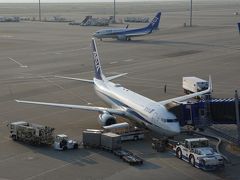 ANA369便　NGO→SDJ搭乗記