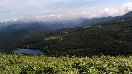 トップ 須川湖キャンプ場 ペット