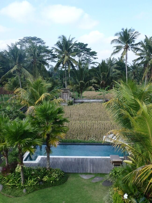 バリ島 南と南の島めぐり（７泊１０日）Vol.8