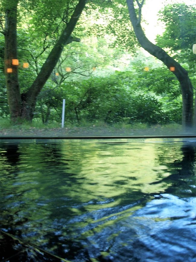 　夏本番の季節になりましたが、久しぶりの「水上温泉」に出かけてきました。私の子供の頃、家族旅行で出かけた事がある水上温泉、なんとなく親近感もあり何度となくお世話になっている温泉です。今回はKKR「水明荘」(  http://www.kkr-minakami.com/ippan/index.html  )にお世話になりました。<br />　７月末の週末、新潟市で行われている「夏競馬」(   https://www.nvcb.or.jp/eventcalendar/000535.html )のニュースに引かれ、暑さに逆らいながら出かけてきました。夏休み中でもあるので家族連れが多く場内なんとなくほのぼのさを感じました。
