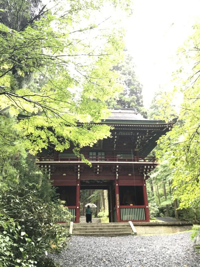 青春18切符の有効期間もあと数日。以前から行きたかった茨城県、日立市にある御岩神社に向かいました。この神社は、宇宙飛行士が宇宙から日本を見た時に光の柱が立っていたところといわれており、188柱の神様が祀られています。<br /><br />当日、東京は晴れていたのですが、日立市についてバスに乗ったところで、土砂降りの洪水のような雨。帰りのバスも本数が少ないので駆け足参拝でしたが、ご神気が感じられる素晴らしい聖地でした。次回は、準備を整えて登山参拝をしたいと思いました。