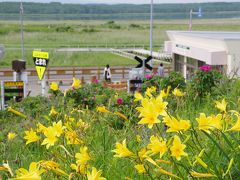 小清水原生花園・キムアネップ岬　道東の景勝地めぐり（３）